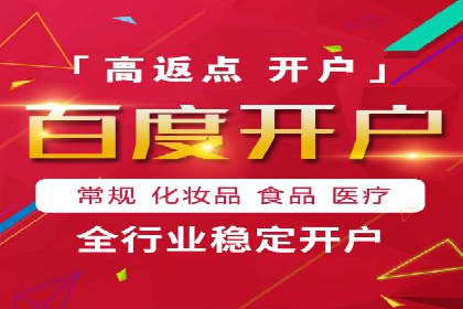 竞价广告策略案例分析